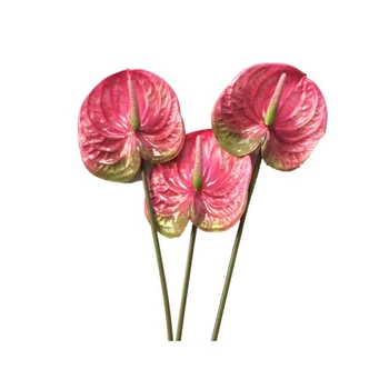 3 Kos 27 palca Umetno Anthurium Cvetja Za Dom Dekor Poročno Dekoracijo (Roza)
