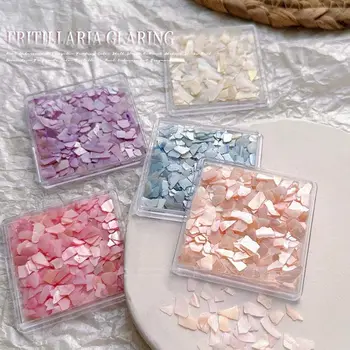 3D Nezakonitih Nail Art Abalone Seashell Rezine Pisane Nail Art za Shell Ploščo UV Gel Aurora Lupini Nohtov Luskast