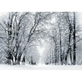 Pozimi Sneg Dreves Poti Fotografija Ozadje Vinil Krpo Ozadje Foto Studio za Otroke Otroka, Portret Ljubljenčkov, Photophone